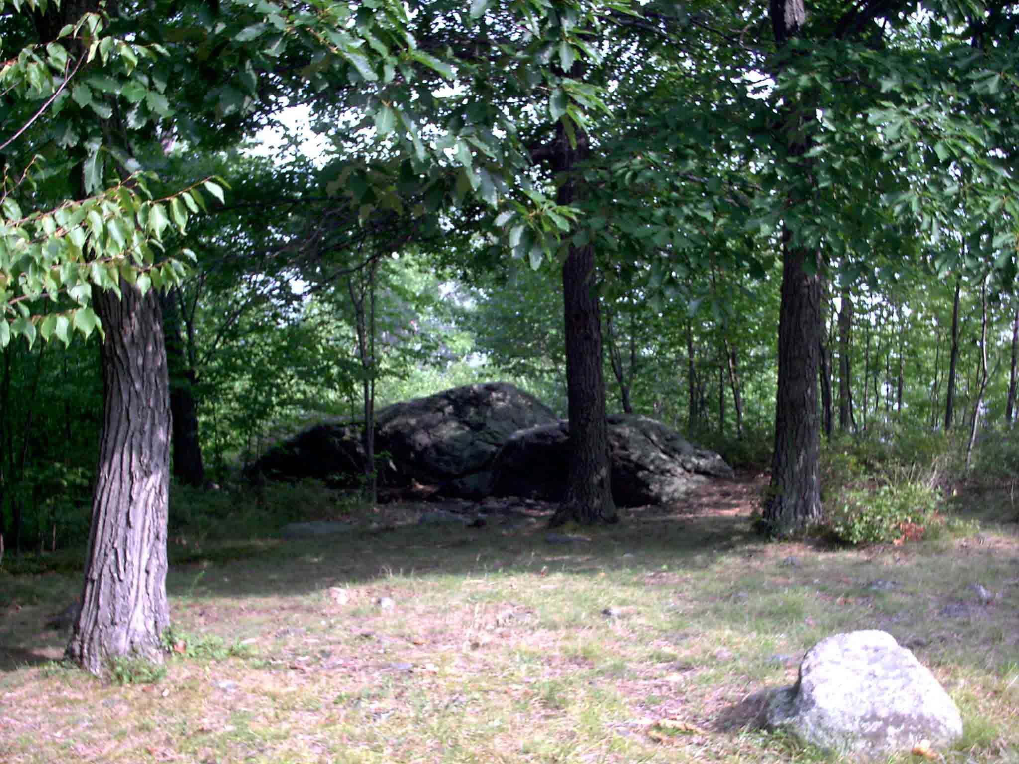 mm 6.0 - Hammock and tent site across the trail from the fire ring and viewpoint at the north end of West Mt. There is room for two or three tents or hammocks.  Courtesy stewartriley@earthlink.net